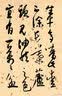 读白蕉 实拍图