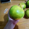攸竹新鲜青皮葡萄柚子 黄金葡萄柚 爆汁葡萄柚 青皮西柚皮薄多汁肉嫩 9斤手提礼盒装 实拍图