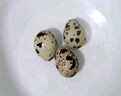 均鲜 新鲜生鹌鹑蛋 农家特产孕妇宝宝营养小零食可卤鹌鹑蛋 50枚 650g 左右鹌鹑蛋 实拍图