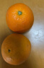 京鲜生 秭归伦晚脐橙5kg 单果约170-220g 新鲜水果 实拍图