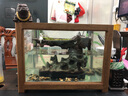流水趣 陶瓷假山摆件缸造景新中式禅意桌面客厅办公开业乔迁玄关装饰 进口实木框鱼缸（绿植＋青苔） 实拍图