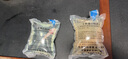 宠以沫（CHONG YIMO）鱼活体金鱼活体鱼淡水冷水鱼观赏鱼龙鱼六角恐龙鱼 黄金龙 实拍图