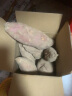 拾橙红心蜜薯西瓜红番薯西瓜红红薯沙地地瓜新鲜蔬菜 带箱5斤大果蜜薯 实拍图