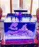 HLD超白海缸海水缸全套珊瑚小丑鱼缸方形背过滤SPS LPS背滤海水缸 FCB-350裸缸 实拍图