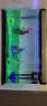 创海鱼缸玻璃长方形客厅家用小型桌面生态金鱼缸中型懒人免换水水族箱 100*30*58cm单缸+仿真造景（图二造景） 晒单实拍图