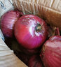 中鲜生 云南紫皮洋葱现挖红皮洋葱新鲜蔬菜生鲜当季新鲜洋葱 5斤装【普通装】 实拍图