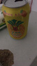 青邑菠萝果味饮料菠萝啤320ml*6罐果味饮料老汽水 菠萝啤320ml*12罐 实拍图