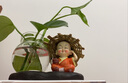 简潜（JIANQIAN）琅璃绿萝水培树脂草帽小和尚创意花瓶家居酒店铜钱草树脂花盆花瓶 不听 实拍图