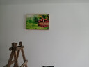 瑞尚（RUISHANG） 现代简约电表箱装饰画配电箱遮挡画餐厅挂画电闸箱多媒体画壁画 清新水果 60*40可覆盖（横50竖30）晶瓷面 实拍图