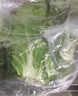 鹿凌青白菜叶饭包东北大白菜叶子新鲜蘸酱蔬菜大饭包打饭包菜叶发顺丰 20片白菜叶无酱【发顺丰】 实拍图