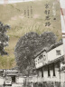 千年繁华3：京都思路 实拍图