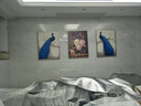 MONADIY客厅装饰画沙发背景墙三联画现代简约山水风景壁画卧室餐厅挂画 03 孔雀之恋（三幅组合） 拉丝银框 60*80cm PS框+油布 实拍图