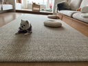 赛波斯大宅标配耐脏宝藏羊毛客厅地毯极简轻奢高级感卧室茶几毯青山美宿 大宅标配（素色米驼） 160cm*300cm （适合2.6~3米沙发） 实拍图