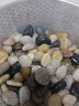 娴雅天然精抛光鹅卵石雨花石小石子鱼缸花盆园艺彩石头养鱼造景石头 混色 1~3cm 一元硬币大小 3斤装 实拍图