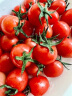 千禧圣女果 小西红柿 樱桃番茄 净重1.5kg装  新鲜水果 实拍图