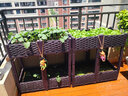 田田绿家庭阳台蔬菜种植架立体多层种植箱双层种菜盆花盆花箱楼顶种菜箱 2联长80宽40高85 实拍图