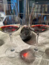 鲁臣世家庄园（Chateau Rauzan Segla）法国名庄 1855二级庄鲁臣世家酒庄干红葡萄酒 2013年单支750ml 正牌 JS评分：91 晒单实拍图