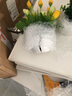 花艺赫家饰仿真花郁金香塑料花小盆栽室内家居餐桌摆件客厅办公桌装饰假花 黄色玉兰苞+白色花瓶套装 实拍图