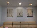 佑圣新中式客厅装饰画晶瓷画客厅简约三联画卧室沙发背景墙壁画兰花 兰花三联 60*80拉丝亮钛金【晶瓷画】 实拍图
