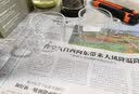 邦田（Bonston）一键过滤全玻璃吸磁内胆飘逸杯可拆洗茶水分离杯简易懒人泡茶壶 木色单壶800ml【新品上市 质保一年】 实拍图