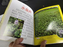 植物·好奇心大百科丛书全彩大图注音版 科学启蒙认知大百科读物小学生课外科普阅读 实拍图