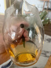 耐热玻璃公道杯公杯功夫茶具分茶器家用倒茶器加厚茶海茶漏套装 绿把企鹅公杯（特级加厚）350ML 实拍图