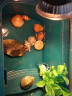 金利佳（Jeneca）乌龟专用缸生态别墅水陆两用晒台爬坡养龟缸家用简约造景乌龟饲养 墨绿小号套餐二 实拍图