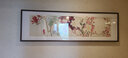 橙舍百花齐放 客厅装饰画中式背景墙画书房挂画国画沙发背景墙戴志文 01-雅致黑胡桃 装裱50*165 实拍图