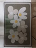 阿芙豆 定制入户门地垫卧室门口水晶绒防滑垫子家用卫生间吸水浴室门垫 莫兰迪花丛 50*80CM 实拍图