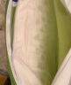 Latex Systems泰国原装乳胶枕头芯 93%含量 成人睡眠颈椎枕 超大枕面透气橡胶枕 实拍图