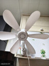 扬子壁扇壁挂式免打孔电风扇家用静音床头小风扇挂墙式大风力宿舍厨房厕所卫生间餐厅墙壁风扇 5叶标准款 实拍图