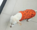 迪普尔 猫衣服狗狗衣服宠物猫咪衣服小型犬中型犬幼犬秋冬季新款服装 M号（建议体重5-8斤） 实拍图