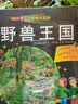 小手电大探秘：野兽王国  实拍图