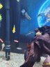 卡奇鱼 斑马鱼 淡水鱼 观赏鱼 小型鱼 热带鱼 蝶翼斑马荧光斑马好养易活 四色混搭斑马100条红蓝黄柠檬 实拍图