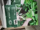 寿禾樟树港辣椒种子苗香辣盆栽菜种籽 潍育寿禾樟树港辣椒种子130粒 实拍图