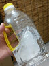 圆通酥油环保液体酥油供佛灯油供灯长明灯油灯专用油佛堂寺庙灯油供佛 白色1.6升10瓶 实拍图