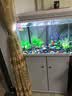 博宇鱼缸过滤材料活性炭包滤芯碳去除异味水族箱净化水质除臭祛腥活性 活性炭500克  AC-500 实拍图