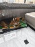 麦富迪（Myfoodie）狗零食 狗狗磨牙棒耐咬小型犬幼犬 宠物零食鸡肉卷夹心牛皮 180g 实拍图