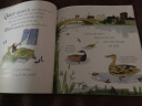 英文原版绘本 Just Ducks!小学STEM百科科普图画书Walker Nature Story 实拍图