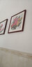紫腾随轩新中式牡丹花开富贵装饰画客厅餐厅背景墙画卧室床头挂画壁画 图11 50*50cm（有机玻璃） 实拍图