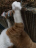 美悦宠物 猫抓板剑麻垫磨抓器耐磨大号猫玩具沙发垫子防猫抓猫窝磨爪板 M码40*60cm颜色随机 4颗螺丝钉 实拍图