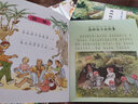 呦呦童中外经典儿童阅读：森林孩子的故事（全彩注音版共4册） 实拍图
