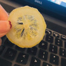 薛记炒货 柠檬片即食柠檬干蜜饯果脯零食干吃袋装办公室休闲零食 柠檬片226g*1袋 实拍图