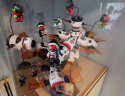 lam toys变色龙盲盒Space航天龙中国航天联名玩具手办公仔摆件-整盒6只 实拍图