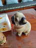 淘乐乐（TAOLELE）儿童存钱罐只进不出小狗硬币储钱罐成人超大号摆件送男女生日礼物 卡通巴哥小号（可存不可取） 实拍图