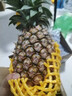 悦己海南凤梨新鲜香甜小菠萝应季热带水果 孕妇水果现摘现发  凤梨8.5-9斤装（4-6个中果） 实拍图