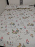 南极人（Nanjiren）纯棉床盖单件全棉碎花小清新四季通用衍缝榻榻米床单炕盖 茉彩-BNYY 180cm*200cm 床盖+枕套一对 实拍图