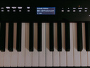 卡西欧（CASIO）电钢琴便携PX-S1100/PXS3100重锤88键智能触屏火星红成人专业考级 【升级三踏】PX-S3100原装木架款 实拍图