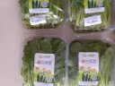 小汤山 小白菜 250g 基地直供新鲜蔬菜GAP认证 实拍图