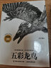 动物小说大王沈石溪经典爱藏版 五彩龙鸟 实拍图